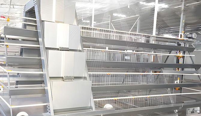 Stepped automated breeding equipment